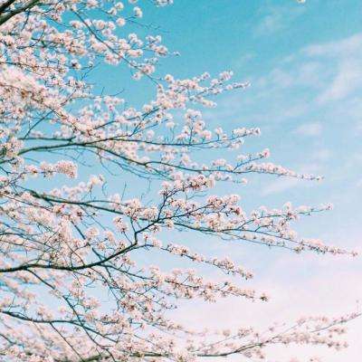 ManBetX客户端登录